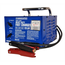 Associated 6010B Cha Bat 80/70 Amps 6/12/24 Volt