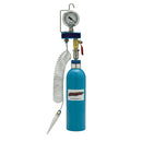 S.U.R. and R Auto Parts FIC903 Intake System Cleaner Can