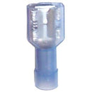 The Main Resource 50209 Nylon 1/4 Female Blue Quick Disconnect - Pelican Power Tool