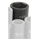 Grey Pneumatic 2040UD 1/2" Drive x 1-1/4" Deep Universal - Pelican Power Tool