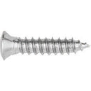 Auto Body Doctor DYN-6317 Phillips Oval Head Sheet Metal Screws Size: 8 x 3/4", Head Size: