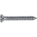 Auto Body Doctor DYN-6284RX Philips Oval Head Shee Metal Screw Chrome, Size: #8, Size: #8, Length or Range: 3/4", Qty: 8