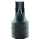 K Tool International KTI-22655 Bitsoc T55 3/8D Int Trx Satin - Pelican Power Tool