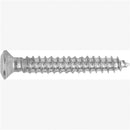 Auto Body Doctor DYN-6325 TorxvÇ¬´ Oval Head Trim Screws, Size: 4.2-1.41 x 30mm, Head Size: 7mm, Finish: Chrome, Qty: 10 - Pelican Power Tool