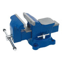 Vise Grip 226306 6" Heavy Duty Vise - Pelican Power Tool