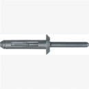 Auto Body Doctor DYN-6506B Blk Nyl Blind Rivets Gm - Pelican Power Tool